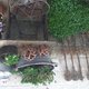 Bassines et autres décos
