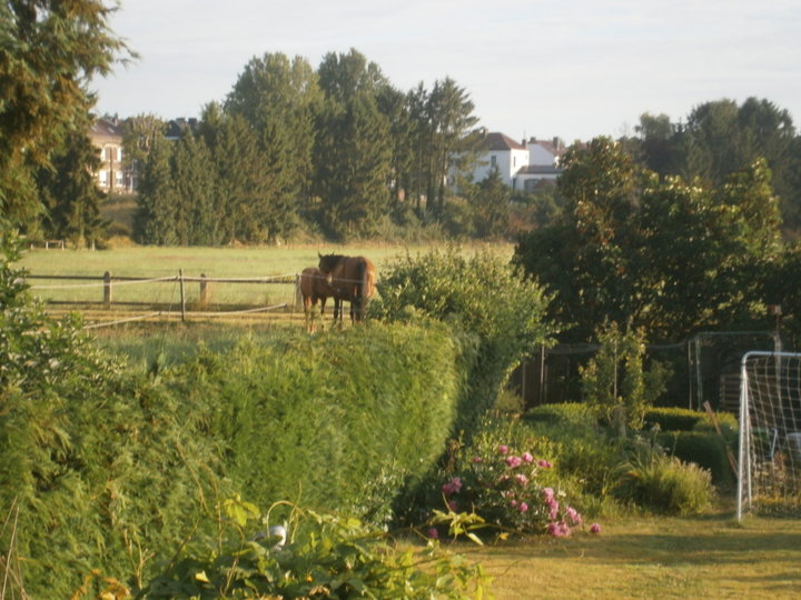 Vu de la terrasse