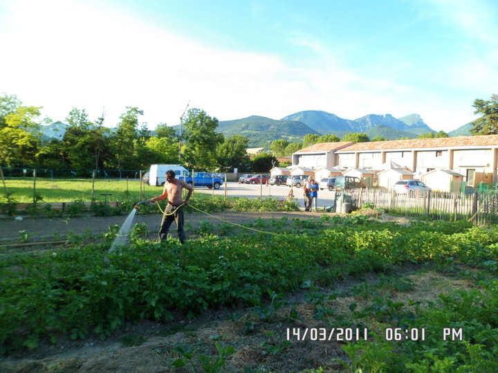 Vue d'ensemble du jardin 