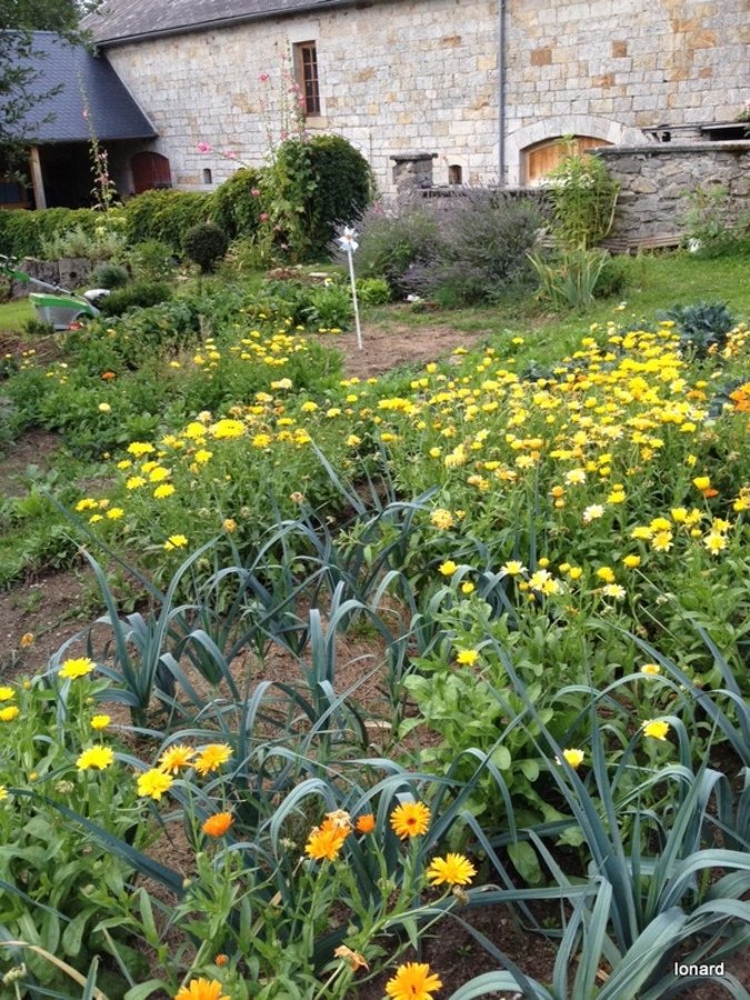 Vue sur la ferme