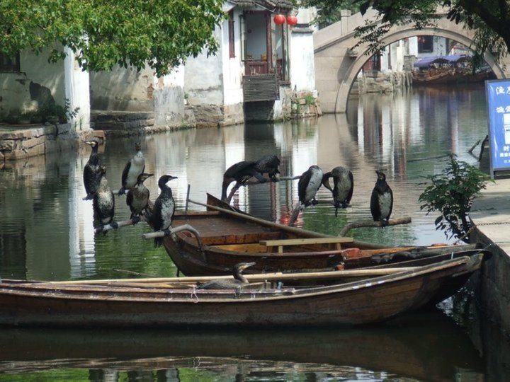 ZHANZHOUANG - Grand Canal