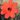 Dahlia 'Mystic Enchantement'