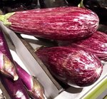 Aubergine 'Graffiti' - Solanum melongena