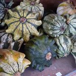 Courge 'Griffes du Diable'