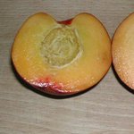 Nectarine