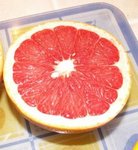Pomelo - Pamplemousse - Citrus paradisi - Agrume
