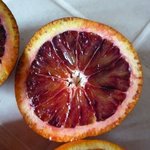 Orange - Citrus sinensis - Agrume