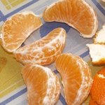 Clémentine - Citrus clementina - Agrume