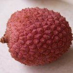 Litchi - Cerisier de Chine