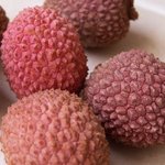 Litchi - Cerisier de Chine