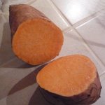 Patate douce - Ipomoea batatas