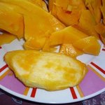 Mangue - Manguier