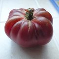 Tomate 'Noire de Crimée'