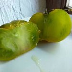 Tomate 'Evergreen'