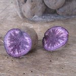 Pomme de terre 'Vitelotte'