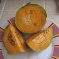 Melon - Cucumis melo