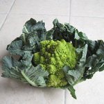 Chou-fleur 'Romanesco'