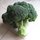 chou brocoli