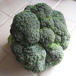 Chou brocoli