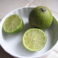 Citron vert - Citrus limon - Agrume  