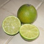 Citron vert - Citrus limon - Agrume  