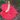 Anthurium - Langue de feu