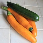 Courgette 'Orelia'