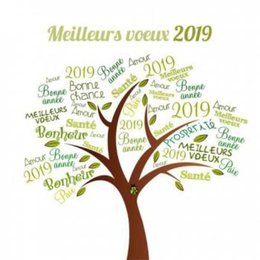 tous mes voeux pour 2019