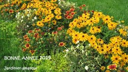 tous mes voeux pour 2019