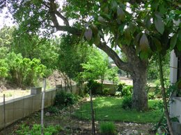 Un mini-potager pour balcon-terrasse ou jardin