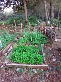 jardin permaculture bizarre