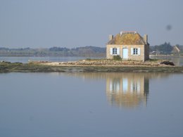 Au  petit coucou amical