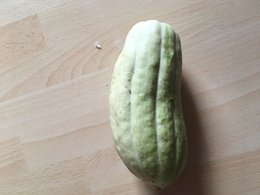 Courge a identifier