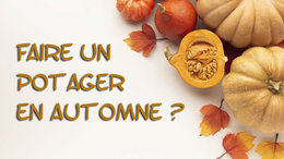 Faire un potager en automne.