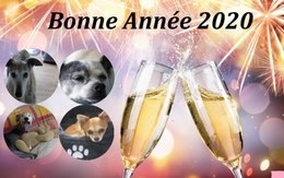 Bonne année 2020