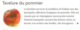 pour les pommers