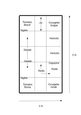 Projet potager 