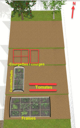 association de légume versus place : help