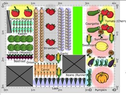 Plan potager