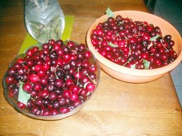 Conservation des cerises