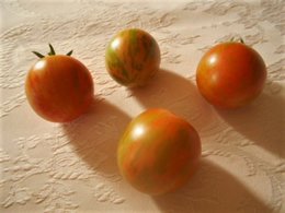 VARIETE DE TOMATES