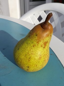 Quelle est cette poire ?