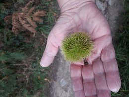 L'automne, ça vous inspire quoi ?