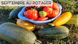 Septembre au petit potager : que semer, que planter, que récolter, les travaux au jardin