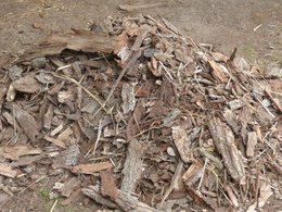 Ecorses de bois sec ?