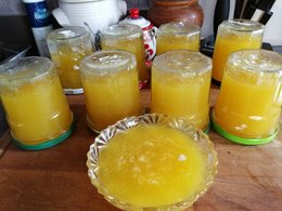 Cet été, avez-vous récolté des melons à confiture ?