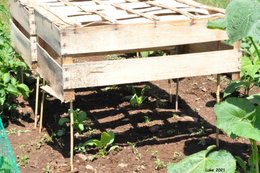 Canicule au potager: Vos astuces.