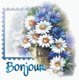 Bonjour