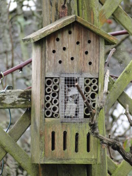 préparation d'un hôtel à insectes