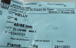 POMMES DE TERRE KELLY